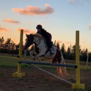 Meet your Posher, Nicole